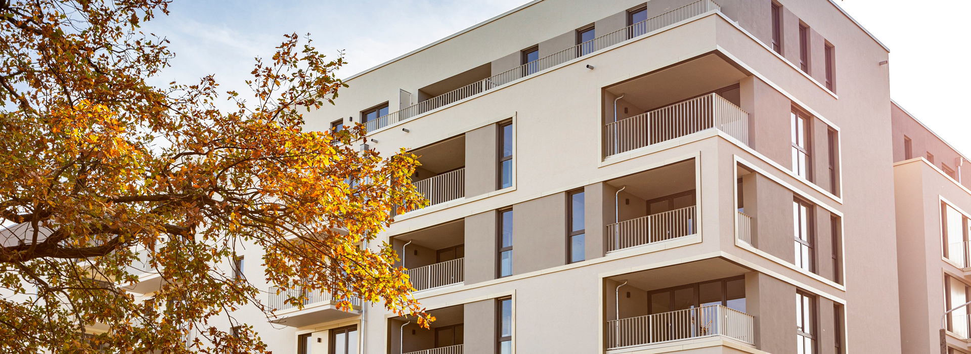 Carré L?btau – Living in the green part of Dresden