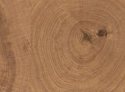 手工實(shí)木地板 千棵樹(shù)